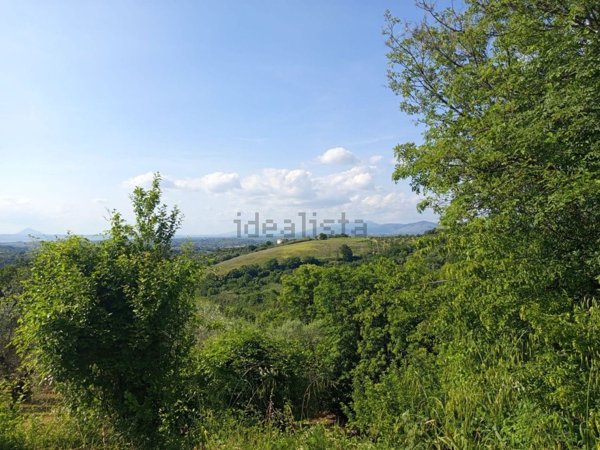 appartamento in vendita a Palombara Sabina