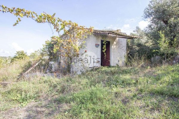 appartamento in vendita a Palombara Sabina