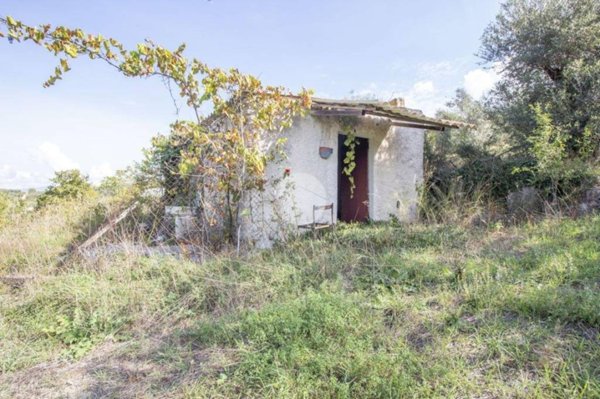 appartamento in vendita a Palombara Sabina