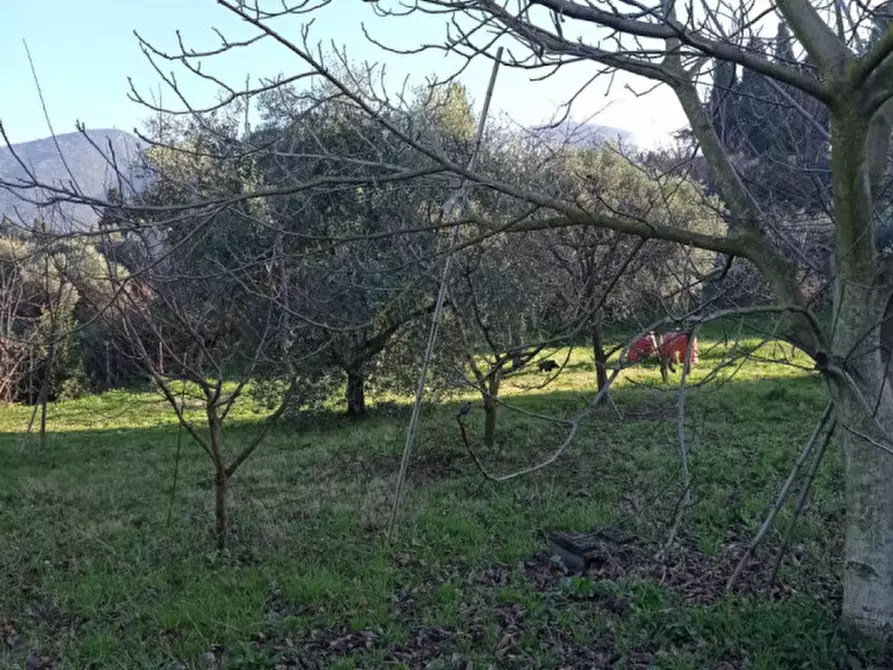 mansarda in vendita a Palombara Sabina