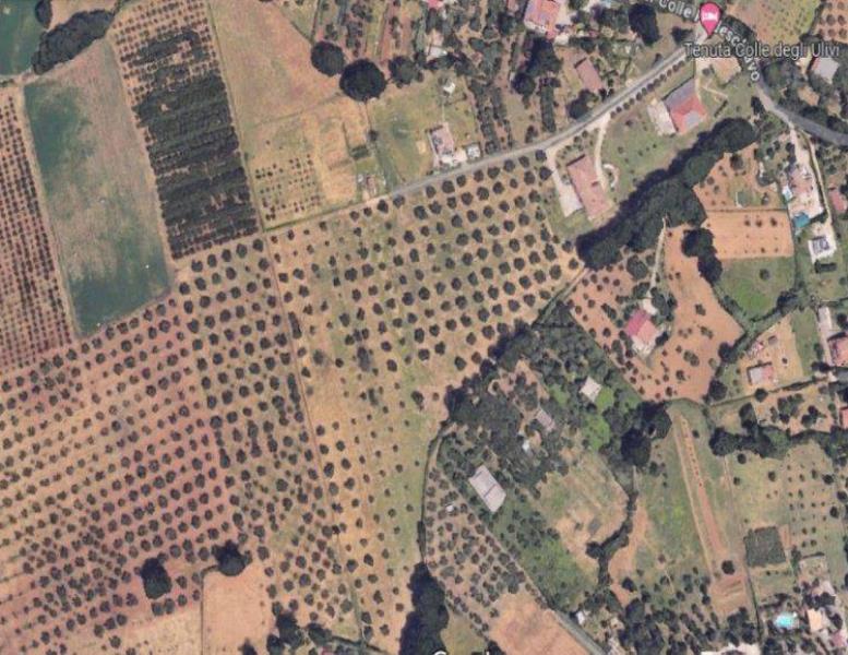 casa indipendente in vendita a Palombara Sabina