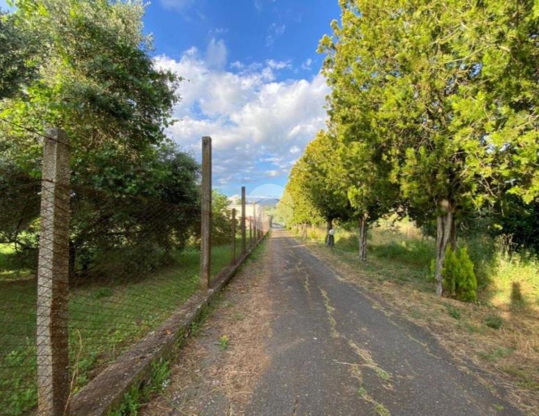 casa indipendente in vendita a Palombara Sabina