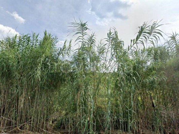 casa indipendente in vendita a Palombara Sabina