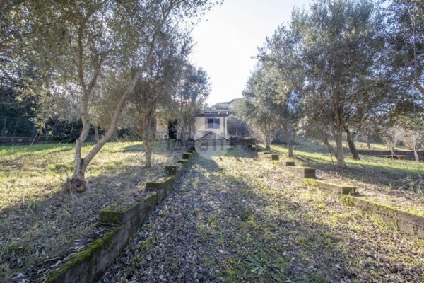 appartamento in vendita a Palombara Sabina