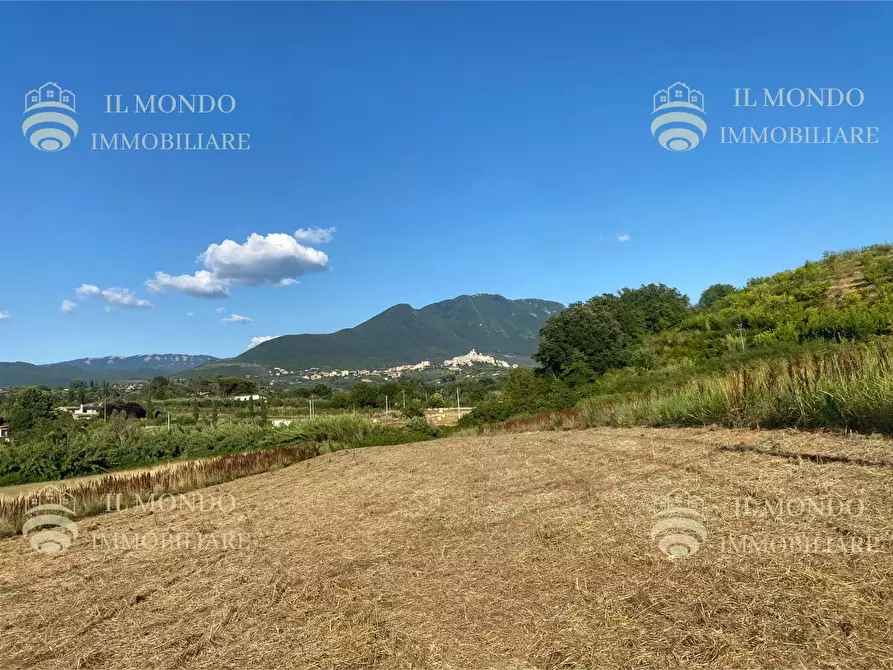 casa indipendente in vendita a Palombara Sabina