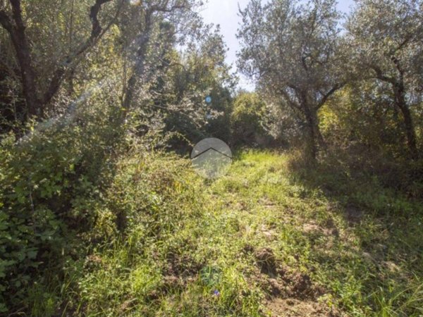 casa indipendente in vendita a Palombara Sabina
