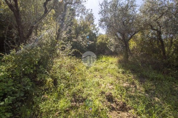 appartamento in vendita a Palombara Sabina