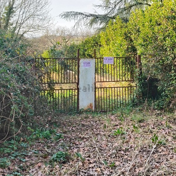 casa indipendente in vendita a Palombara Sabina