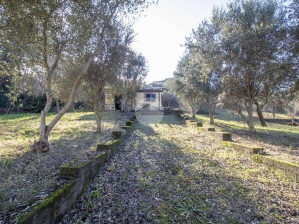 appartamento in vendita a Palombara Sabina