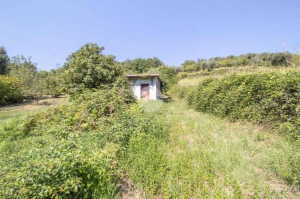 locale di sgombero in vendita a Palombara Sabina