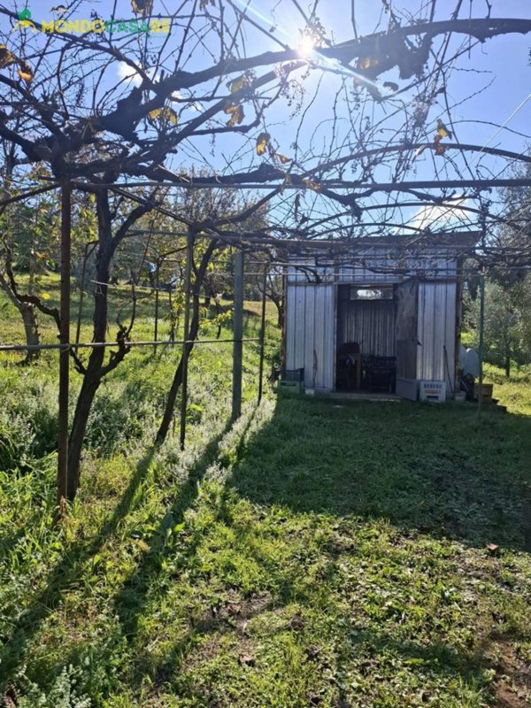 terreno edificabile in vendita a Palombara Sabina