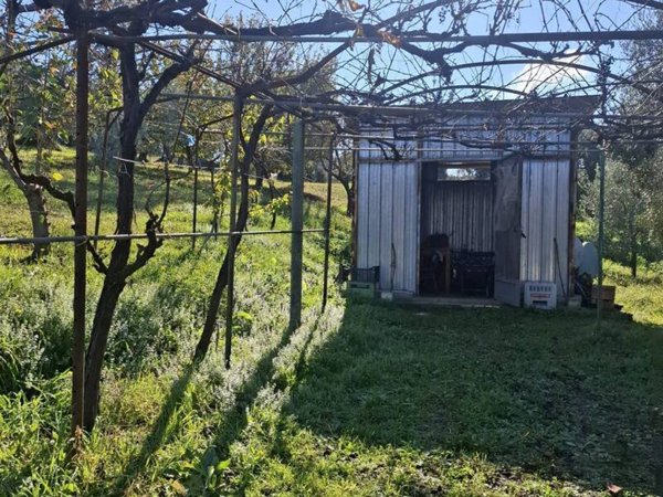 terreno edificabile in vendita a Palombara Sabina