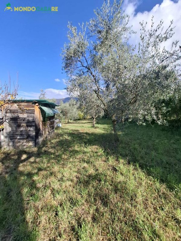 terreno agricolo in vendita a Palombara Sabina