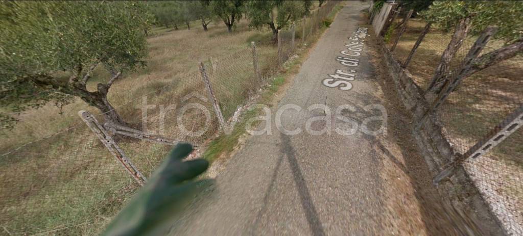 appartamento in vendita a Palombara Sabina