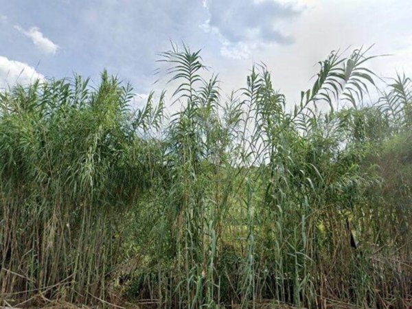 casa indipendente in vendita a Palombara Sabina