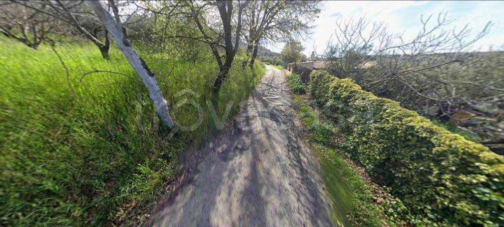 appartamento in vendita a Palombara Sabina