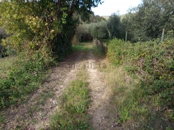 casale in vendita a Palombara Sabina