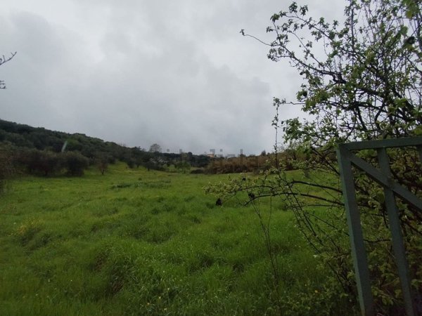 terreno agricolo in vendita a Palombara Sabina