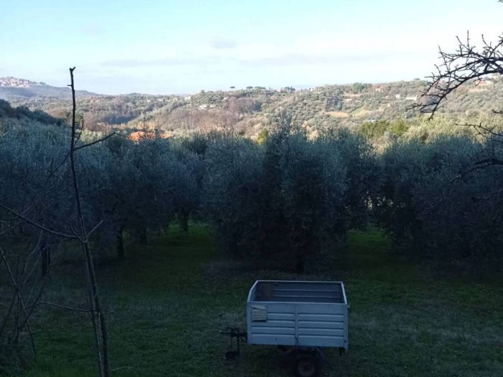 terreno agricolo in vendita a Palombara Sabina