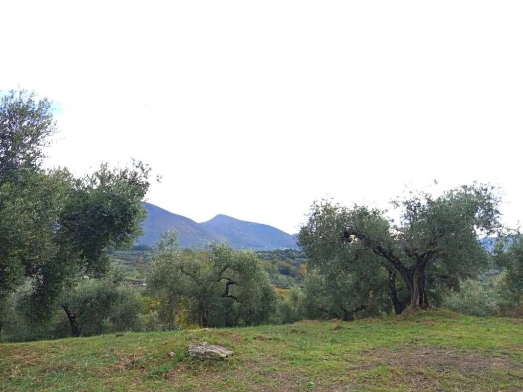 terreno agricolo in vendita a Palombara Sabina