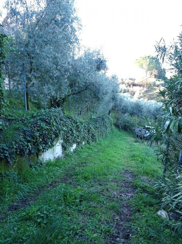 terreno agricolo in vendita a Palombara Sabina