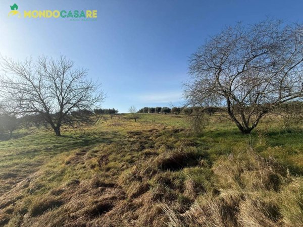 terreno agricolo in vendita a Palombara Sabina