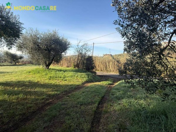 terreno agricolo in vendita a Palombara Sabina