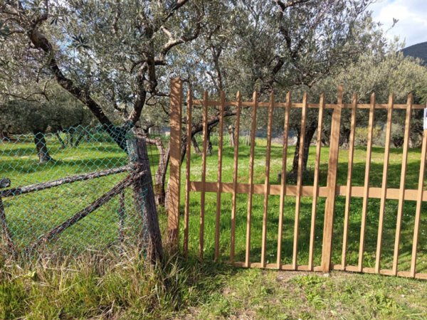 terreno agricolo in vendita a Palombara Sabina