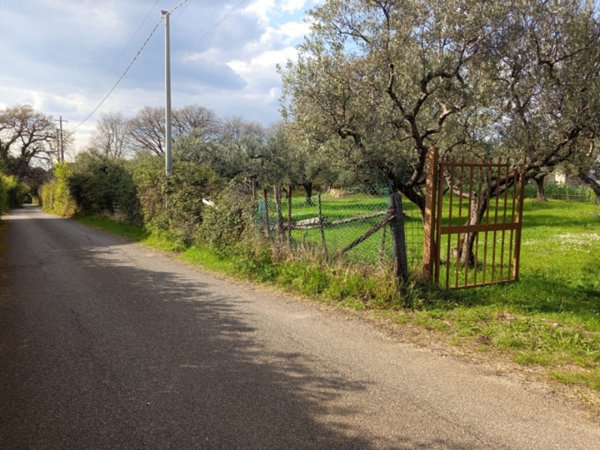 terreno agricolo in vendita a Palombara Sabina in zona Stazzano