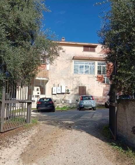 appartamento in vendita a Palombara Sabina