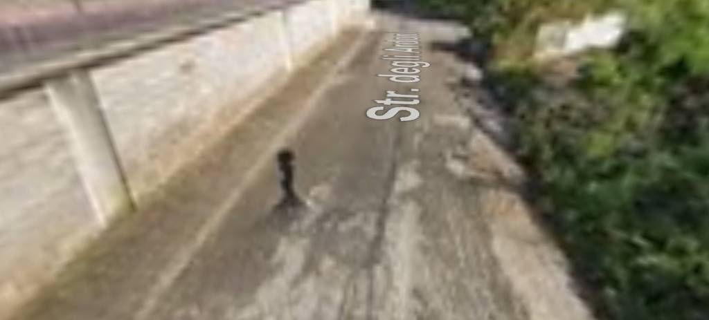 appartamento in vendita a Palombara Sabina