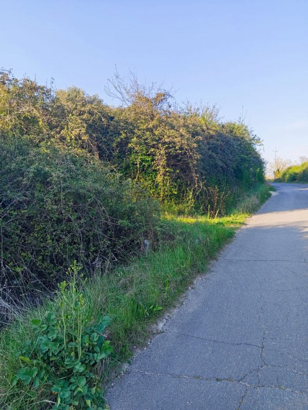 terreno agricolo in vendita a Palombara Sabina