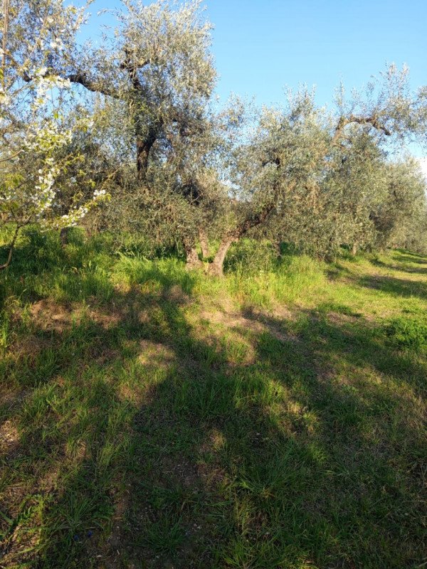 terreno agricolo in vendita a Palombara Sabina in zona Cretone