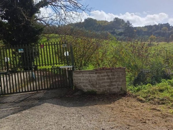 terreno agricolo in vendita a Palombara Sabina