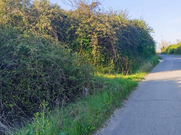 terreno agricolo in vendita a Palombara Sabina