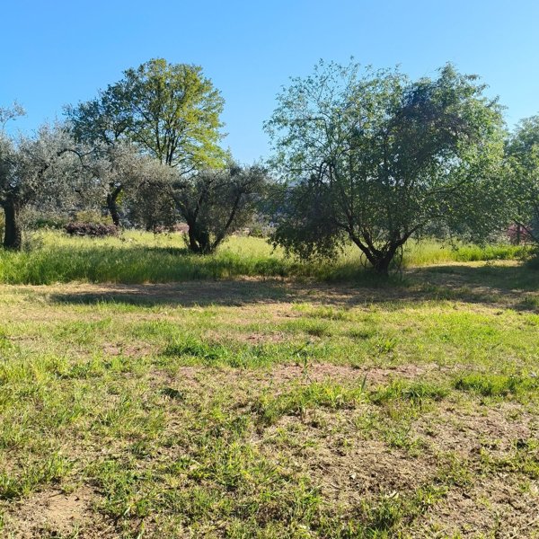 terreno agricolo in vendita a Palombara Sabina