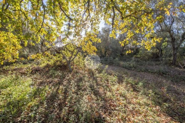 terreno edificabile in vendita a Palombara Sabina in zona Cretone