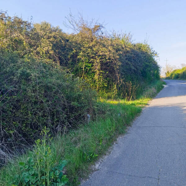 terreno agricolo in vendita a Palombara Sabina
