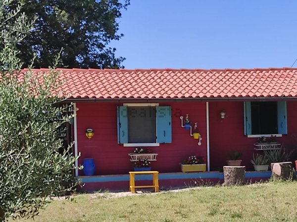 appartamento in vendita a Palombara Sabina