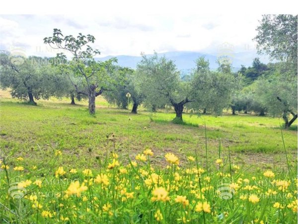 terreno agricolo in vendita a Palombara Sabina