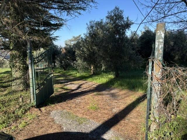 casa indipendente in vendita a Palombara Sabina