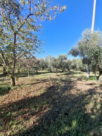terreno edificabile in vendita a Palombara Sabina
