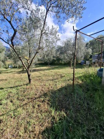 terreno agricolo in vendita a Palombara Sabina