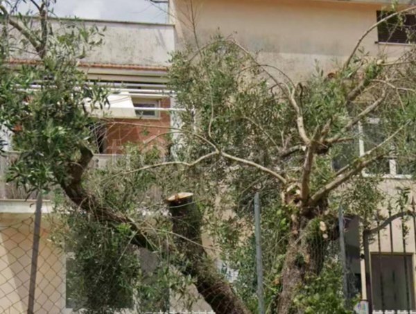 appartamento in vendita a Palombara Sabina