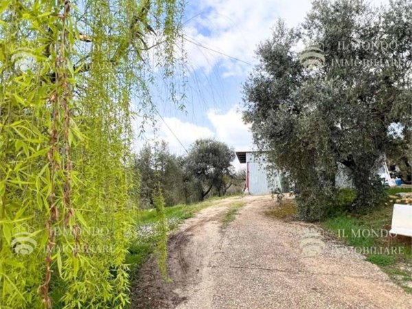terreno agricolo in vendita a Palombara Sabina in zona Cretone