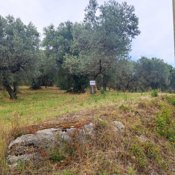 terreno agricolo in vendita a Palombara Sabina