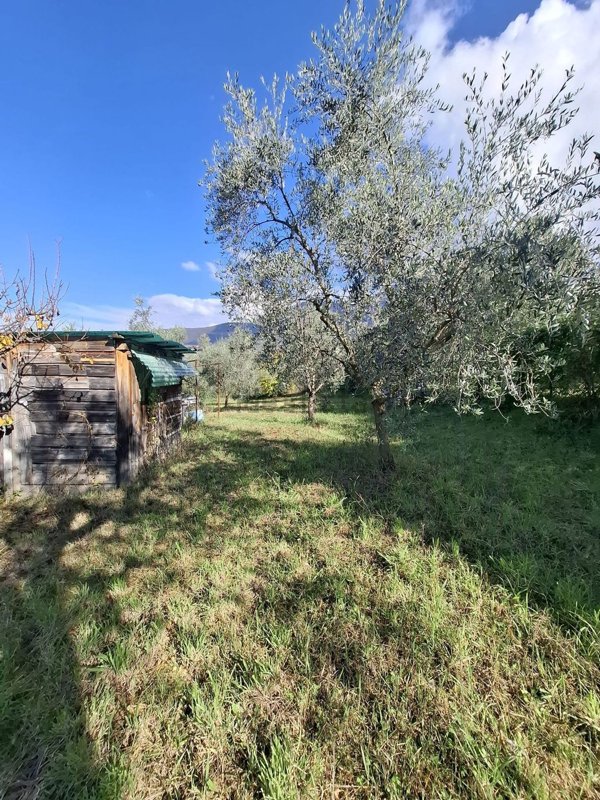 terreno agricolo in vendita a Palombara Sabina