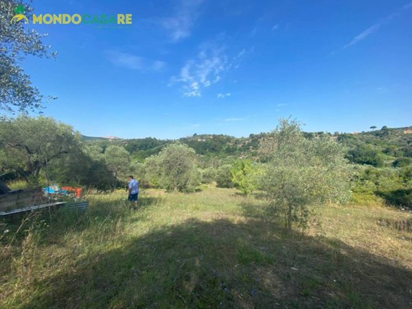 terreno agricolo in vendita a Palombara Sabina