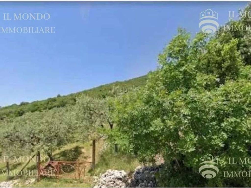 terreno agricolo in vendita a Palombara Sabina