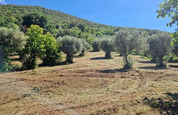 terreno agricolo in vendita a Palombara Sabina